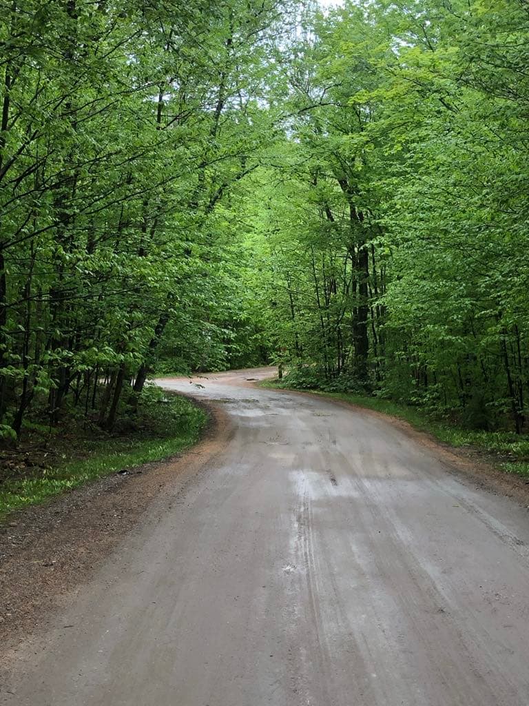 Birch Crest Resort property photo 1